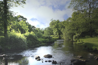 Ward Pound Ridge Fishing